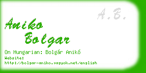 aniko bolgar business card